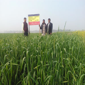 ছবি ধারণ: মোয়াজ্জেম হোসেন