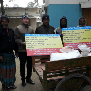 ধান গম ও পাট